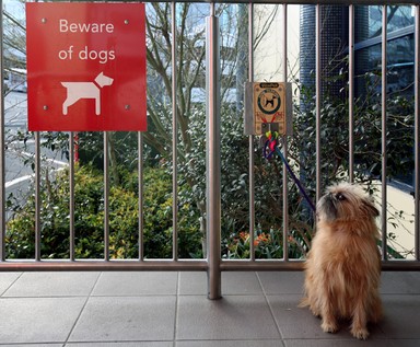 Stephen Hardy; Beware of dogs; Taken outside New World Victoria Park